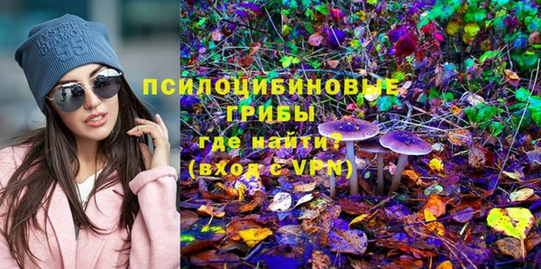 герыч Вяземский