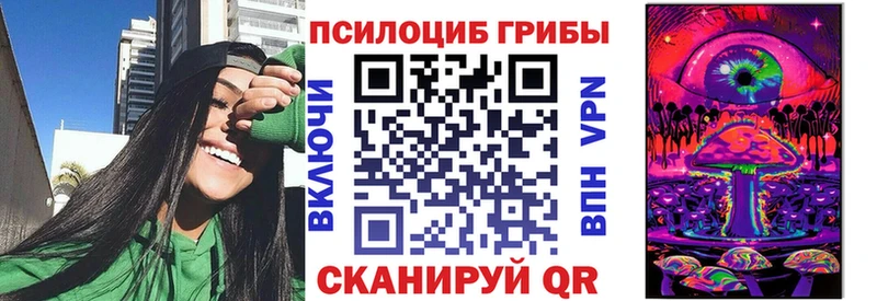 Купить закладки Отрадное Псилоцибиновые грибы GOLDEN TEACHER